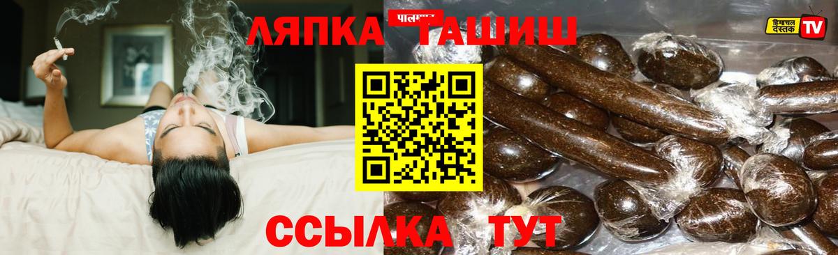 ГАШИШ Изолятор  ГАШ  Волжск  Вход с VPN 